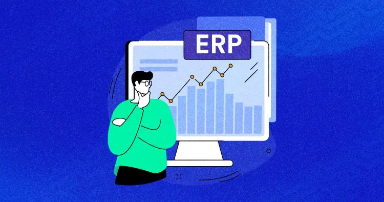 What Is an ERP Solution? How to Choose the Best One for Your WordPress? - Syed Ali Naqi Hasni